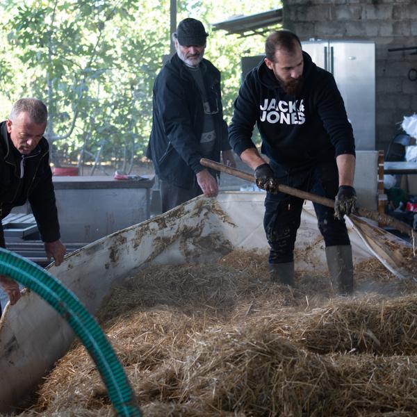 Διεργασία Ενσίρωσης 2